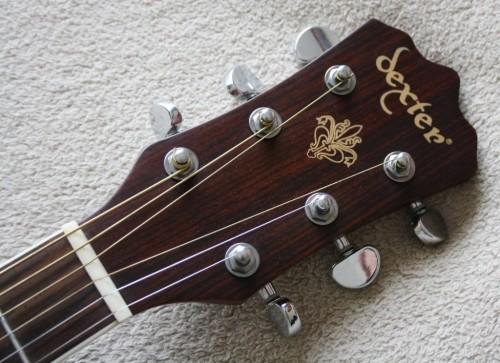 Acoustic/Electric - Dexter (Model: DOM-16S-OP) Acoustic Guitar